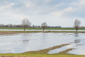 Subsidieregeling overstromingsschade 2021